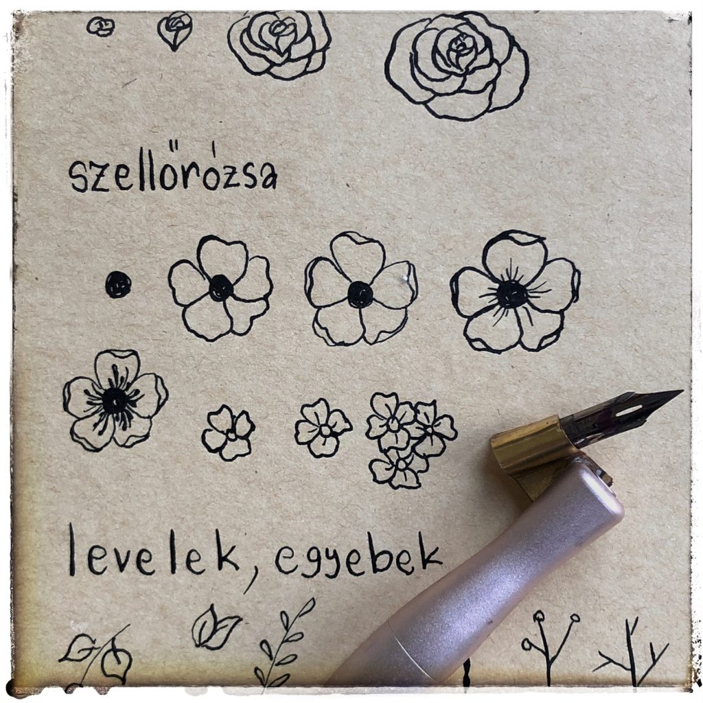 szellőrózsa mártogatós tollal